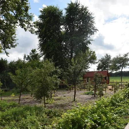 Bed & Breakfast Hoeve Delshorst *