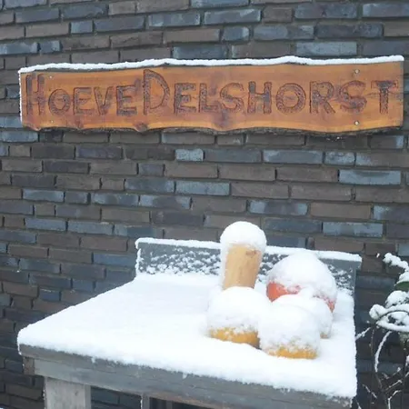 Hoeve Delshorst 3*