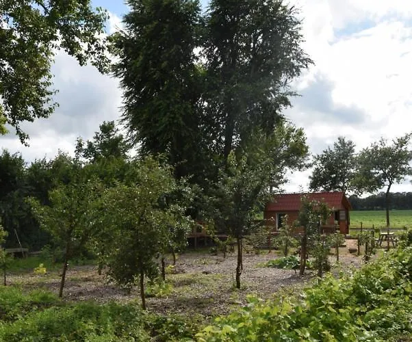 Oda ve Kahvaltı Hoeve Delshorst 3*