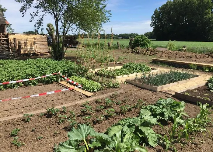 Oda ve Kahvaltı Hoeve Delshorst Heibloem