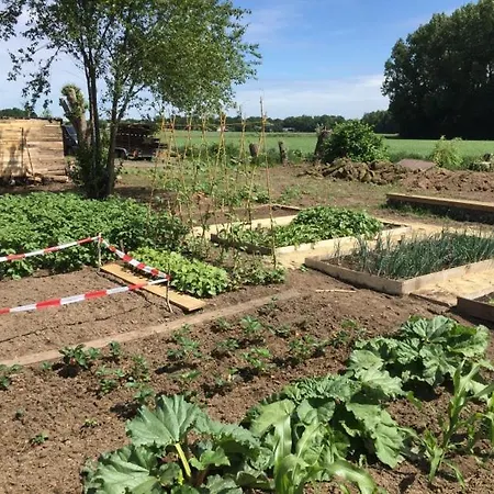 Couette-café Hoeve Delshorst Heibloem