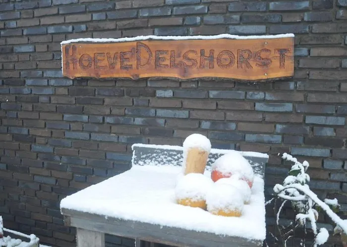 Hoeve Delshorst 3*